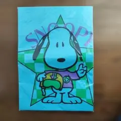未使用 昭和？平成？レトロ SNOOPY 半袖Tシャツ スヌーピー