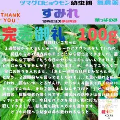 激レア ヒメユミアシゴミムシダマシ ペア 標本 - メルカリ