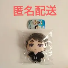 ハイキュー!! ぬいぐるみマスコット2　ガチャ　新品　ガチャガチャ　宮治