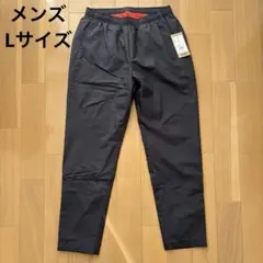 Item thumbnail for item f5fdc058-d9a8-4fc6-b1b8-b211d2039162