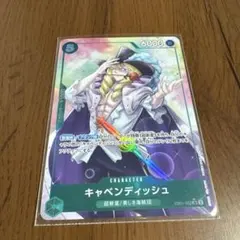 2025年最新】キャベンディッシュsrの人気アイテム - メルカリ