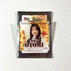 東北ゴールデンエンジェルス OTOMI アクキー 秋冬