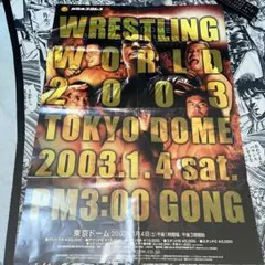 キックボクシング GLORY／RISE 2026.6.6 イベントポスターB2 - メルカリ