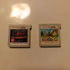 ニンテンドー3DS ゲームソフト ・あつまれどうぶつの森 ・逃走中