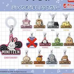 SEVENTEEN MINITEEN ぷっくりめじるしアクセサリー セミコンプ