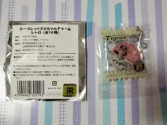 阪神タイガース　シークレットアメちゃんチャーム　大山