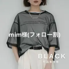 早い者勝ち❣️lumier シアーレイヤードTEEセット 2枚セット リュミエ同型