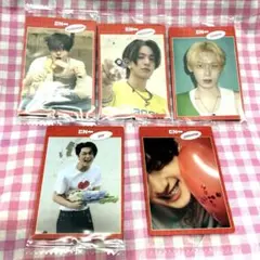 ENHYPENウエハース＊カードシール＊5枚セット＊