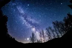 Megumiさま 専用ページ