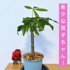 ダイ様 リクエスト 3点 まとめ商品