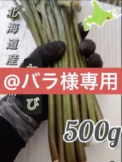 @バラ様専用✱クール便対応④北海道道東産✱天然わらび500ｇ