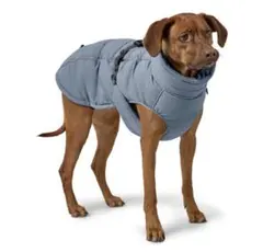 《 美品 》HUNTER 犬 コート PAXSON 35 powder blueのサムネイル