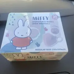 Item thumbnail for item 64ac5fbf-8596-424d-afa6-0ca0975fa845