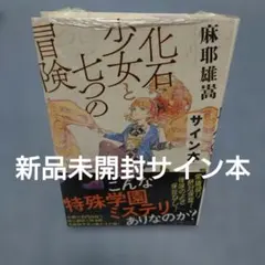 中古】星空鉄道とシロの旅 同人ゲーム PC用ソフト - メルカリ