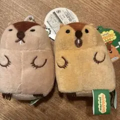 マーモットのもっとっとプチぬいぐるみ2ケまとめ