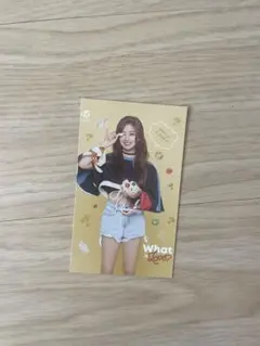 TWICEジヒョWhat is love？特典トレーディングカード
