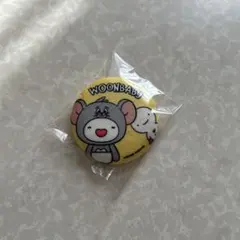 BOYNEXTDOORプネクド 缶バッジ トムジェリ ウナク