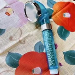 Item thumbnail for item 755c34aa-7ab3-4bd7-b2a9-cbb7428afefa