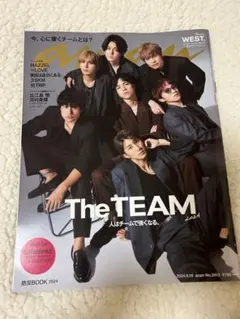 Item thumbnail for item 64467bdc-e00b-4509-863c-ffaa531ab712