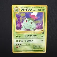 フシギソウ イントロパック