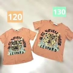 H&M レオパードプリント Tシャツ 110〜120 120〜130
