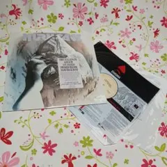 Item thumbnail for item 2b23c964-895f-4825-adb2-b9c5a79db234