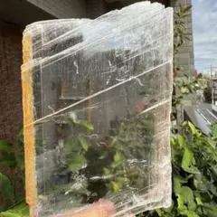 高品質 ザンビア産 ゴールデンファントムセレナイト 185g 透明感 透石膏②