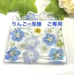 【専用】♡ネモフィラたっぷりの小物入れ♡固まるハーバリウム