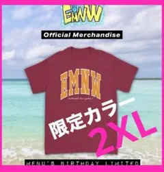 新品未使用 一部汚れ EMNW エムニュー Tシャツ Mサイズ 白 - メルカリ