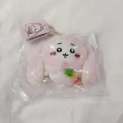 台湾限定 치이카와 ロップイヤーなマスコット 치이카와