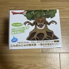 ドラゴンクエスト じんめんじゅの植木鉢 種付き栽培キット