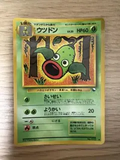 ポケモンカード ウツドン 旧裏面