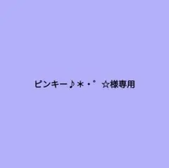 専用