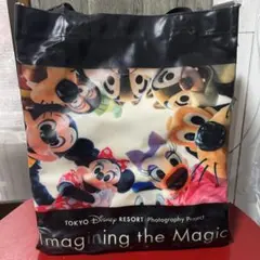 東京ディズニーリゾート バッグ　カメラバッグ