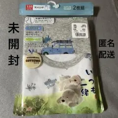 Item thumbnail for item c2051bce-536e-493b-89dc-c2d9f9a54fcf