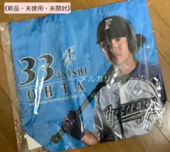 大田泰示グッズセット 2025年最新】Yahoo!オークション -大田泰示 ユニフォーム(応援