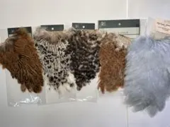 Item thumbnail for item 73310995-34de-434b-8f26-d6351792a437