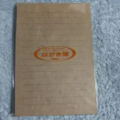 はがきセット 50枚入 罫線入り
