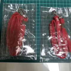 Item thumbnail for item 624bee40-0369-47b5-aab2-d0ab5529fe90