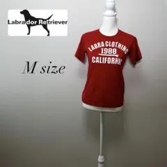 【ラブラドール】Mサイズのサムネイル