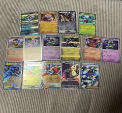 サーファー SAR 他　RR