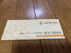 相鉄ホールディングス株式会社　　株主優待券のサムネイル