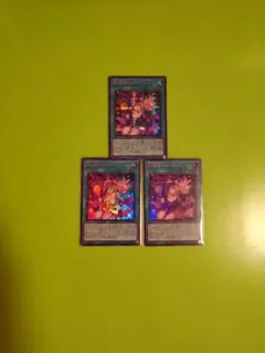 黒魔導のカーテン　シク他３枚セット