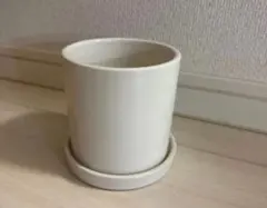 상태좋음 陶器鉢 プランター 受け皿付き 陶器製 植木鉢 ホワイト 南青山 陶器 白