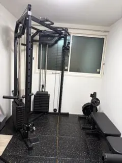 ◻︎BEING STRONG アシストディップス チンニングマシン 業務用 懸垂 