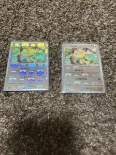 ワニノコ進化ライン⭐︎連番マスボミラー cm4auk8k1005qs601w15xscll?t=