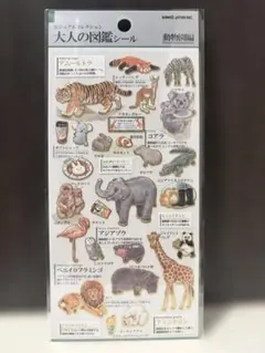 ひろぽん様 リクエスト 2点 まとめ商品