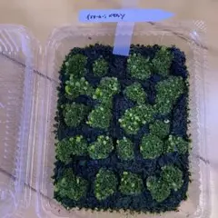 noma様 リクエスト 2点 まとめ商品