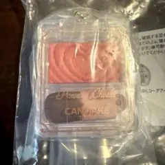 【新品未開封】 非売品 CANMAKE チャーム パウダーチークスP06