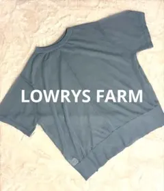 週末限定価格LOWRYS FARM 半袖 サマーニット カットソー ブルー系のサムネイル